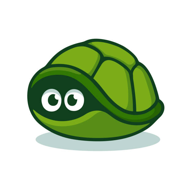 Turtle hiding in shell Cartoon turtle afraid to come out of its shell. Cute hiding tortoise with scared eyes. Isolated vector clip art illustration. turtle stock illustrations