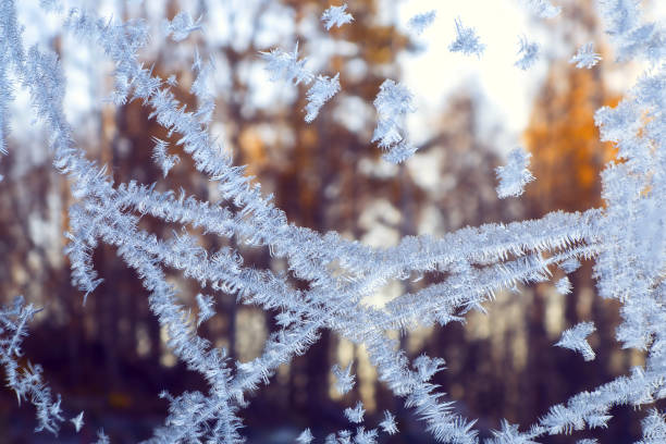 istock Frosty snowflake pattern on a winter window, outside the forest at sunset. 1068846446