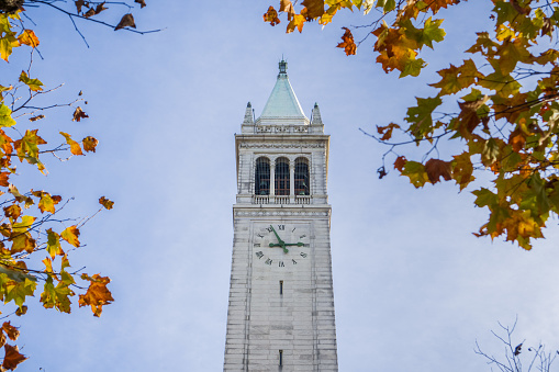 The top of Sather (Campanile) tower on a blue sky background framed by autumn colored leaves, Berkeley, San Francisco bay, California