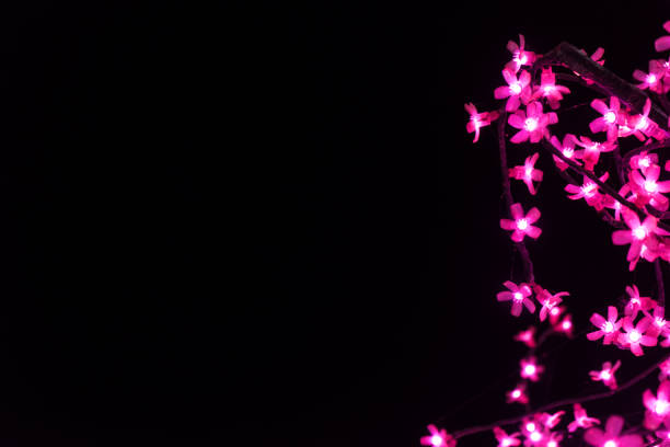 Light flowers on the black background with space for your text