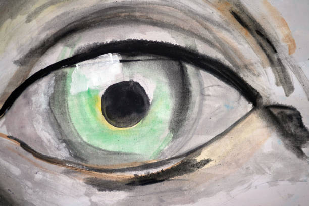 an artist's acrylic painting of a human eye - artist art artists canvas human eye imagens e fotografias de stock