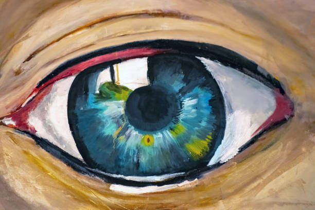 an artist's acrylic painting of a human eye - artist art artists canvas human eye imagens e fotografias de stock