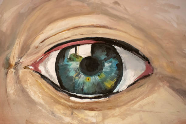 an artist's acrylic painting of a human eye - artist art artists canvas human eye imagens e fotografias de stock