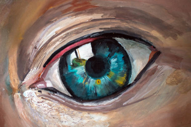 An artist's acrylic painting of a human eye An artist's acrylic painting of a human eye. The artist is a new young artist called Ethan Hewitt and this series of images shows the progress through the painting process. eyeball photos stock pictures, royalty-free photos & images