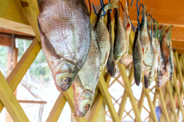 istock River fish hanging upside down dried on a rope 1068849974