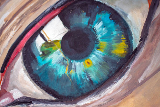 an artist's acrylic painting of a human eye - artist art artists canvas human eye imagens e fotografias de stock