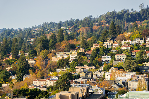 Aerial view of residential neighborhood built on a hill on a sunny autumn day, Berkeley, San Francisco bay, California;