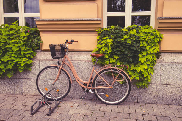 Vilnius, Lithuania. May 2019.  a bicycle rental station in the city center