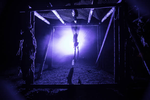 Horror view of hanged girl on tree at evening (at night) Suicide decoration. Death punishment executions or suicide abstract idea. Different background decoration Horror view silhouette of hanged man on scaffold at night with fog and toned light on background. Execution (or suicide) decoration. Horror Halloween concept. silhouette of the hanging noose stock pictures, royalty-free photos & images