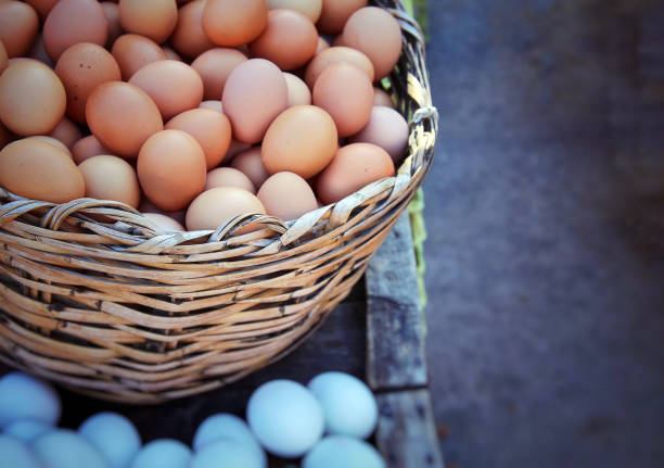istock Food Protein Organic Chicken Raw Eggs 1068858294
