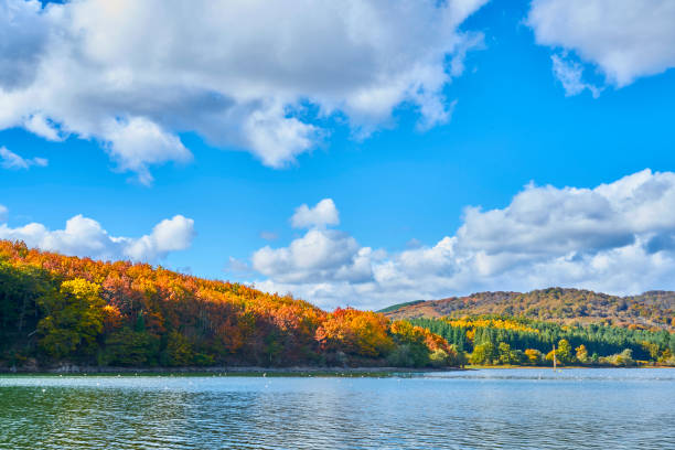 istock autumn in the forest 1068858370