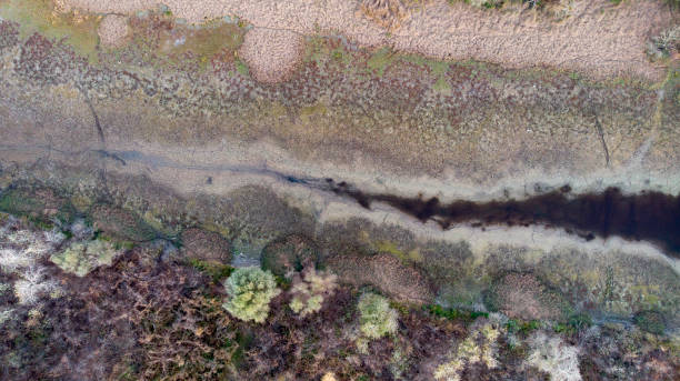 istock Top view of the parched lake 1068859864