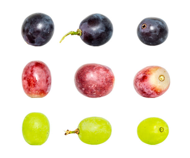 Red green and dark blue wine of grapes composition collection in different variations isolated on white background. Clipping Path stock photo