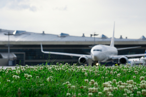 Defocus airplane with green herb at airport in Moscow