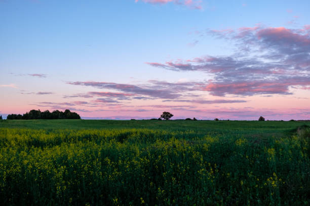 istock storm clouds forming over the countryside 1068864198
