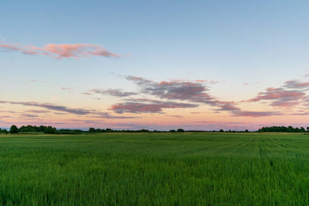 istock storm clouds forming over the countryside 1068864218