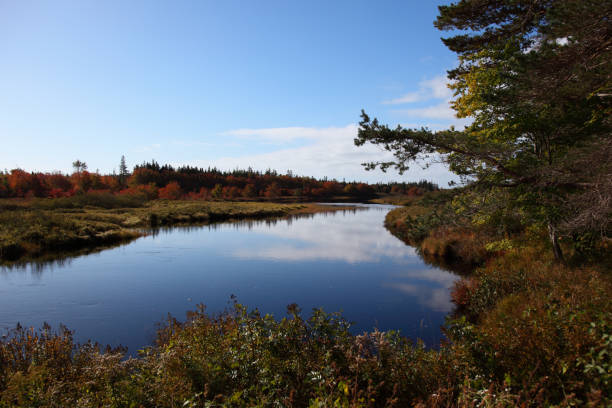 istock Scenic fall view located in Hectanooga area, Nova Scotia, Canada 1068864688