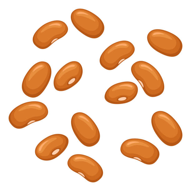 Brown beans Illustrationen visar bruna bönor baked beans stock illustrations
