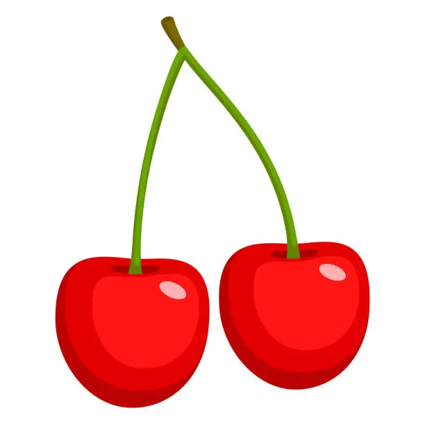 Vector illustration of cherry