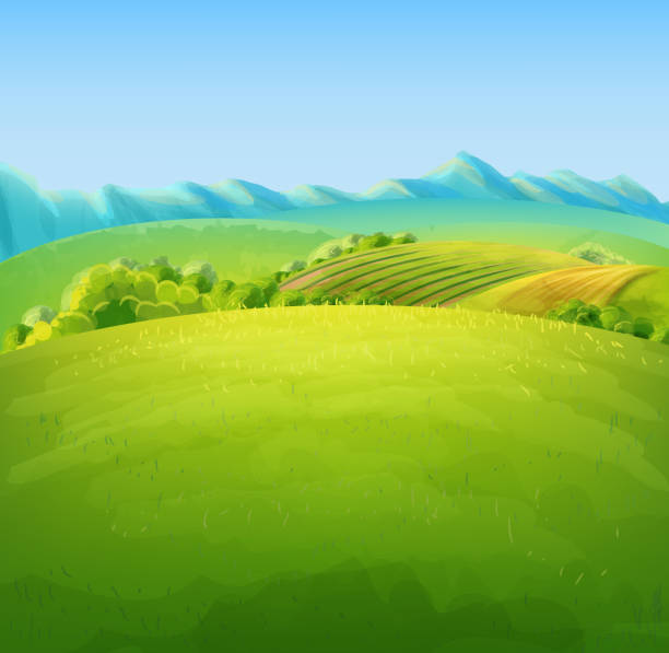 flat land flat land illustration field of grass stock illustrations