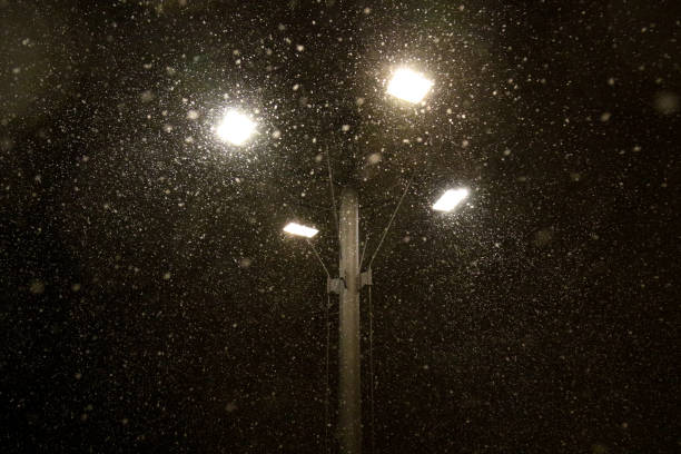 istock Plentiful snowfall in front of street light 1068869114