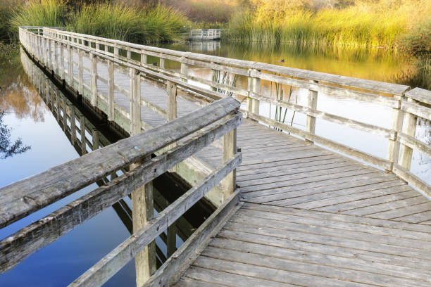 istock Floating Walkways at Neary Lagoon 1068874374
