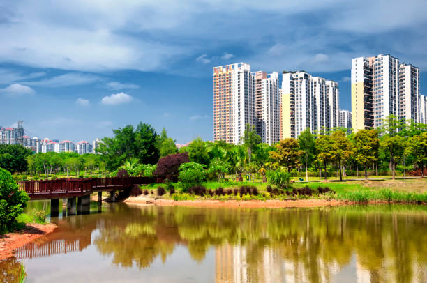 istock Futian Mangrove Ecological Park Shenzhen China 1068874764