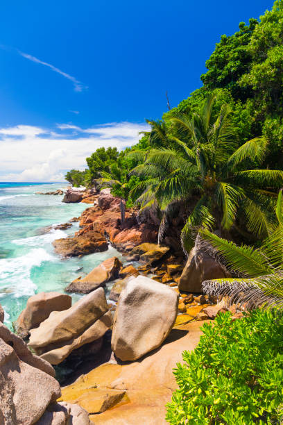 istock Tropical beach on Seychelles 1068876958