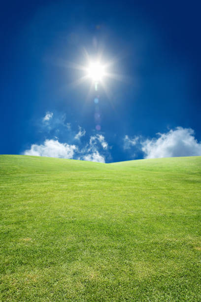 istock Rolling landscape of empty green grass field over sunny sky 1068877442