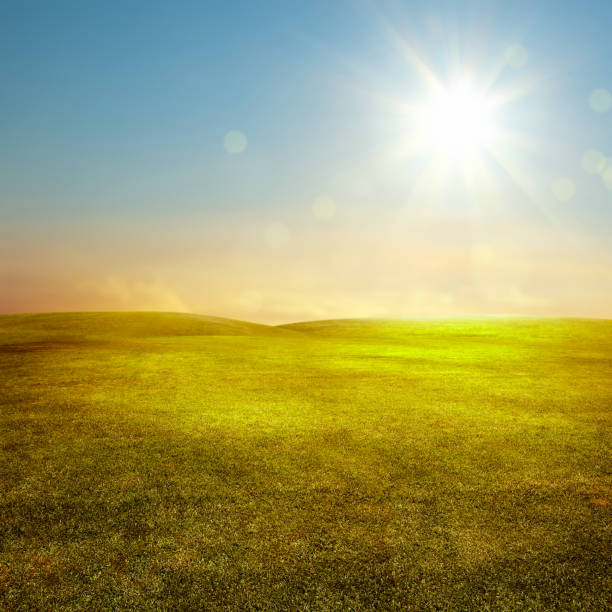 istock Rolling landscape of empty green grass field over sunny sky 1068878760