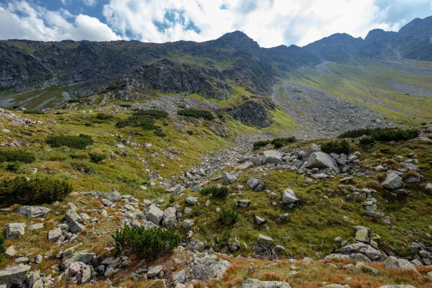 istock western carpathian mountain panorama in clear day 1068891162