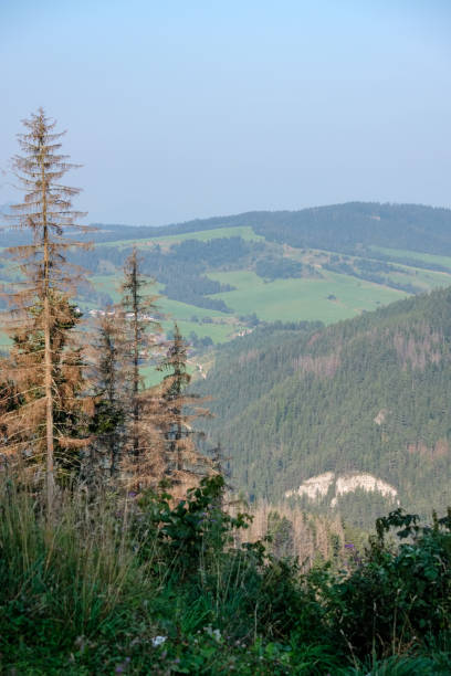 istock western carpathian mountain panorama in clear day 1068891284