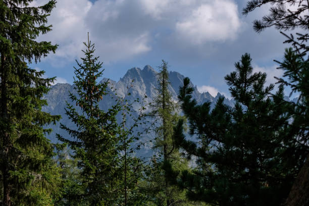 istock western carpathian mountain panorama in clear day 1068891288
