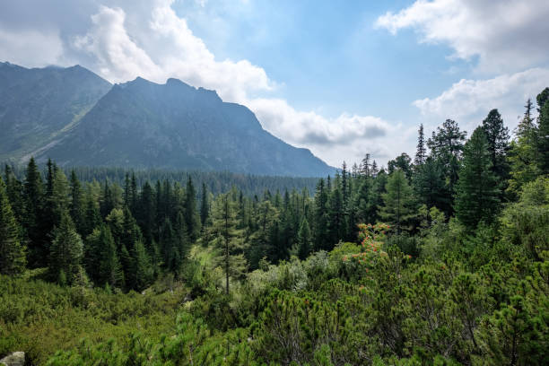 istock western carpathian mountain panorama in clear day 1068891342