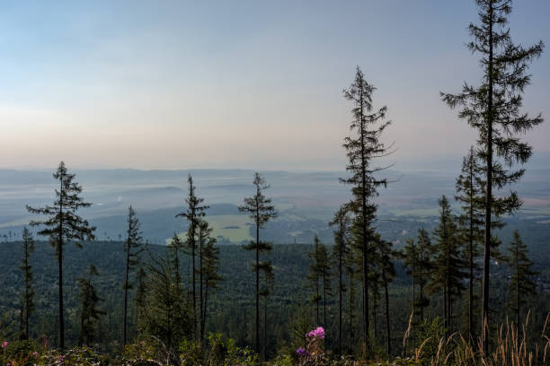 istock western carpathian mountain panorama in clear day 1068891428