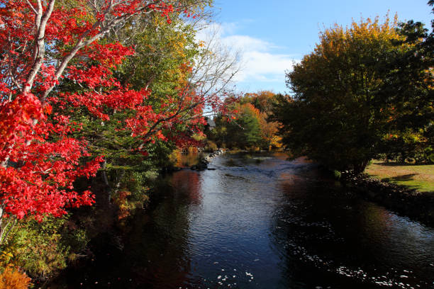 istock Scenic fall view located in Hectanooga area, Nova Scotia, Canada 1068899016