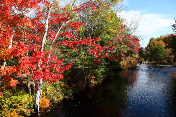 istock Scenic fall view located in Hectanooga area, Nova Scotia, Canada 1068901778