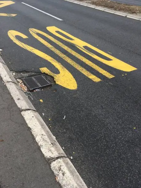 Photo of Bus stop painted sign on asphalt