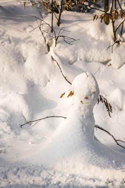 istock A snowman after a snow fall, storm. Winter activity, copy space, background. 1068910222