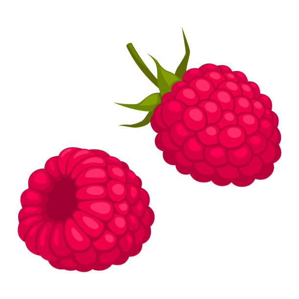 hallon - raspberry stock-grafiken, -clipart, -cartoons und -symbole