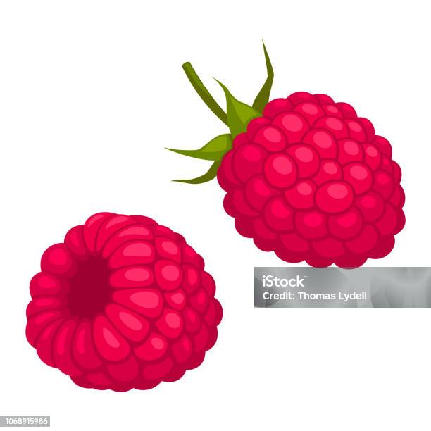 Illustrated Raspberry Raspberry Stock Illustration - Download Image Now - Raspberry, Vector ...