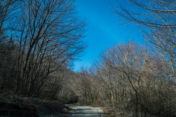 Stunning mountain winter road through the landscape of Lovcen National Park, Montenegro