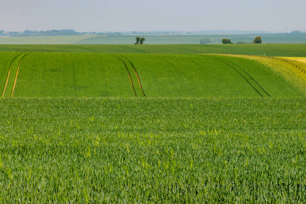 istock Rural French Landscape 1068925190