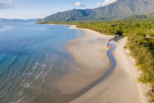 selva tropical de daintree - queensland australia - vista playa de noé - cairns fotografías e imágenes de stock