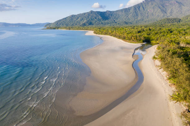 Daintree Rainforest - Queensland Australia - View of Noah Beach Aerial View of Noah Beach in the Daintree area of tropical far north Queensland. In this beautiful section of coast the rainforest meets the sea. port douglas photos stock pictures, royalty-free photos & images