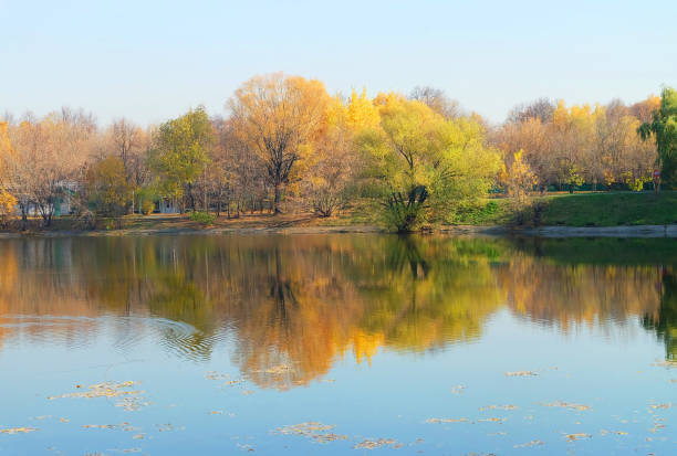 istock Landscape park with a pond golden autumn 1068949826
