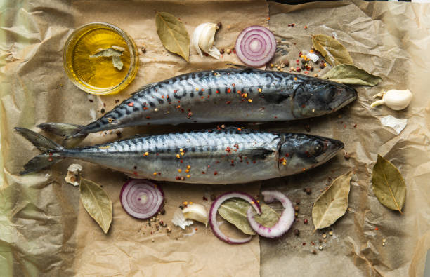 caballa cruda - fish oil nature nutritional supplement healthcare and medicine fotografías e imágenes de stock