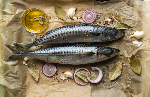 Raw mackerel Fish, Mackerel, Food, Barbecue Grill, Dinner mackerel stock pictures, royalty-free photos & images