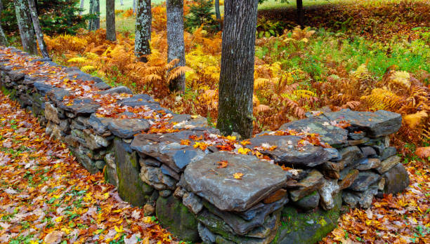 Stone Wall and Autumn Foliage in Vermont
