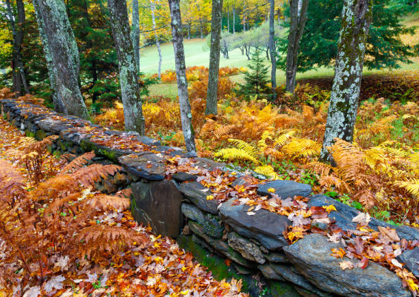 istock Stone Wall and Autumn Foliage in Vermont 1068953052